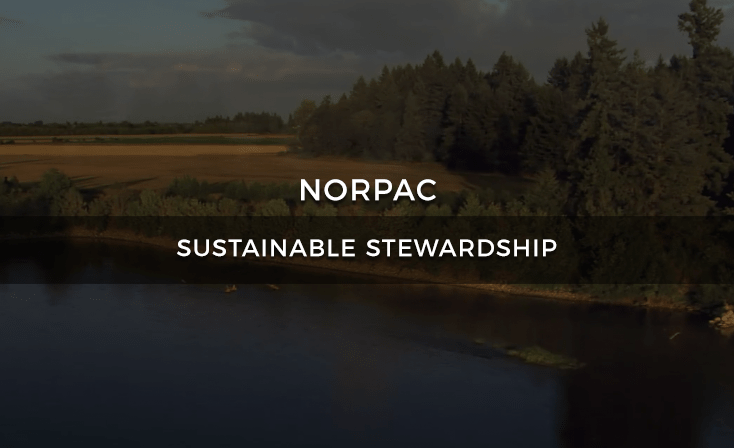 NORPAC Video Services Example